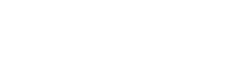 Website Design & Hosting by The Graphic Vine